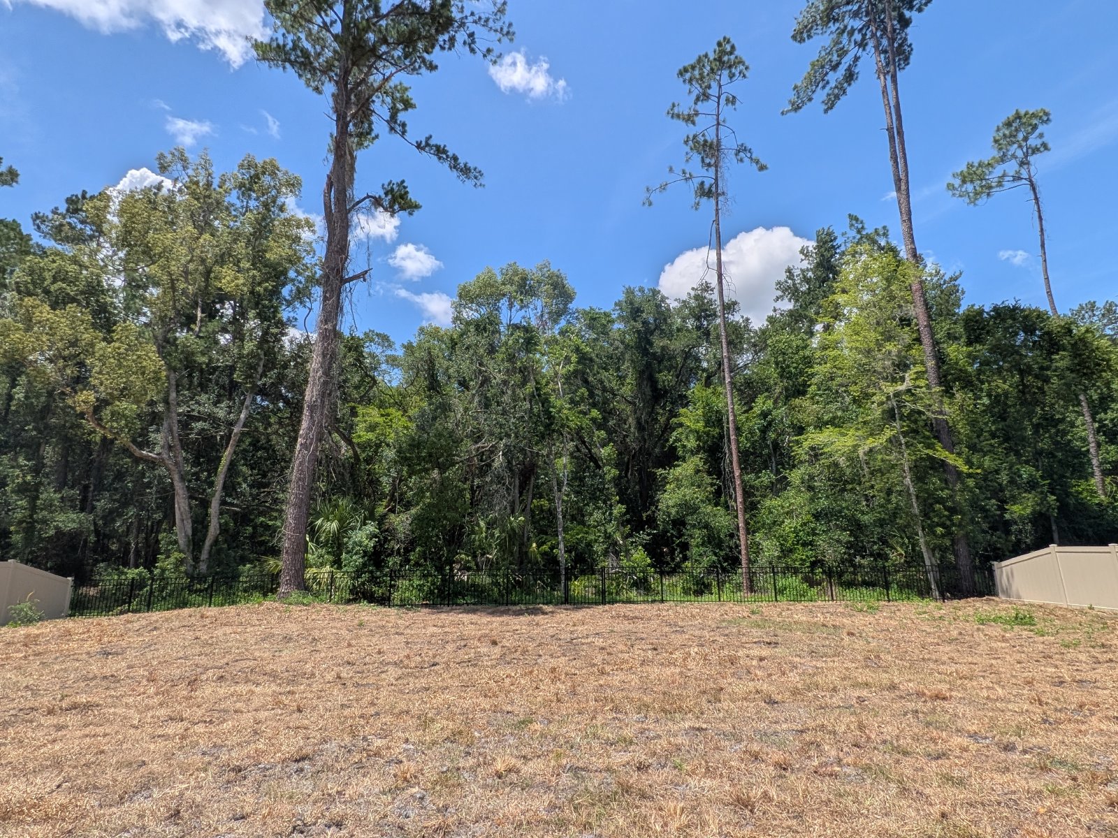 353 W Eridani Ct Citrus Springs FL 34434 property image