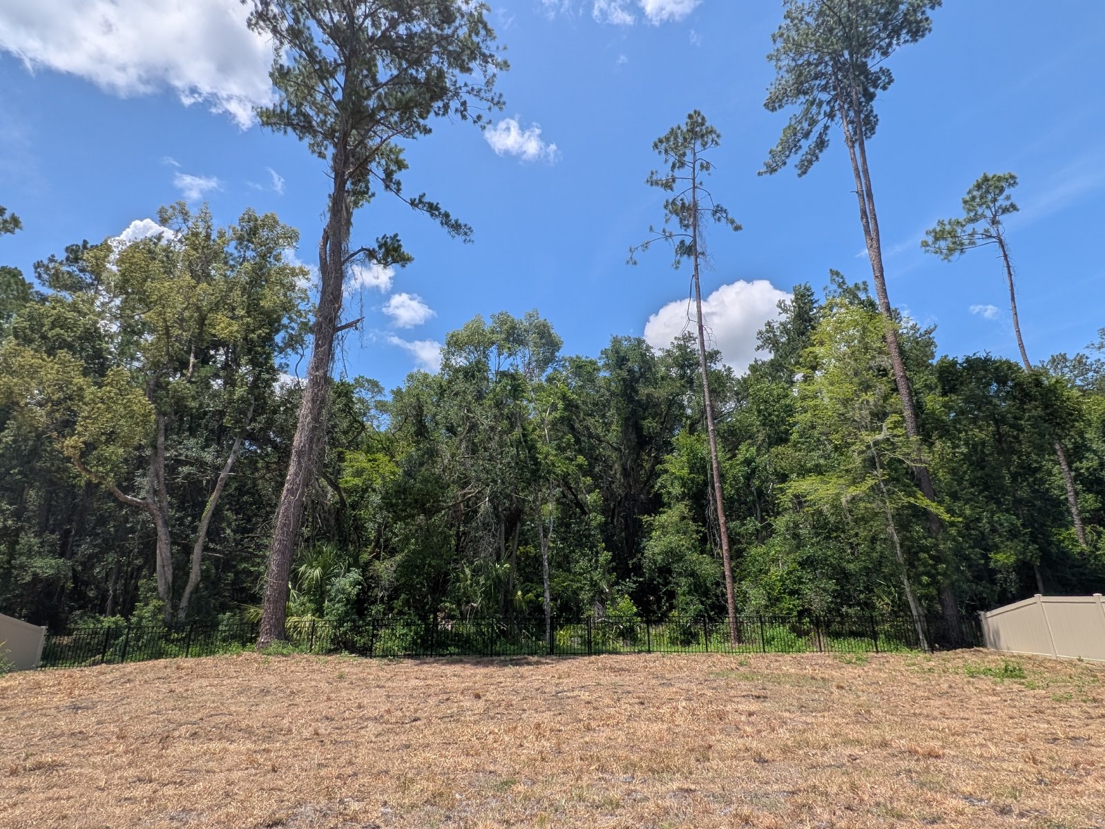 353 W Eridani Ct Citrus Springs FL 34434 property image