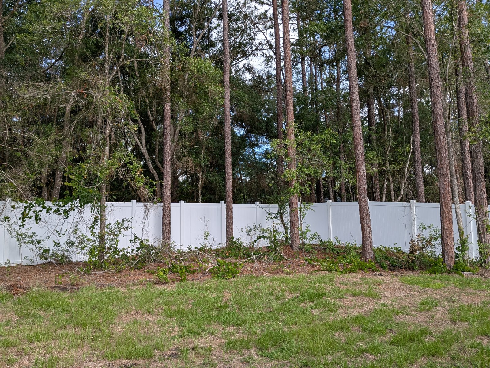 214 E Caldwell Dr Citrus Springs FL 34434 property image