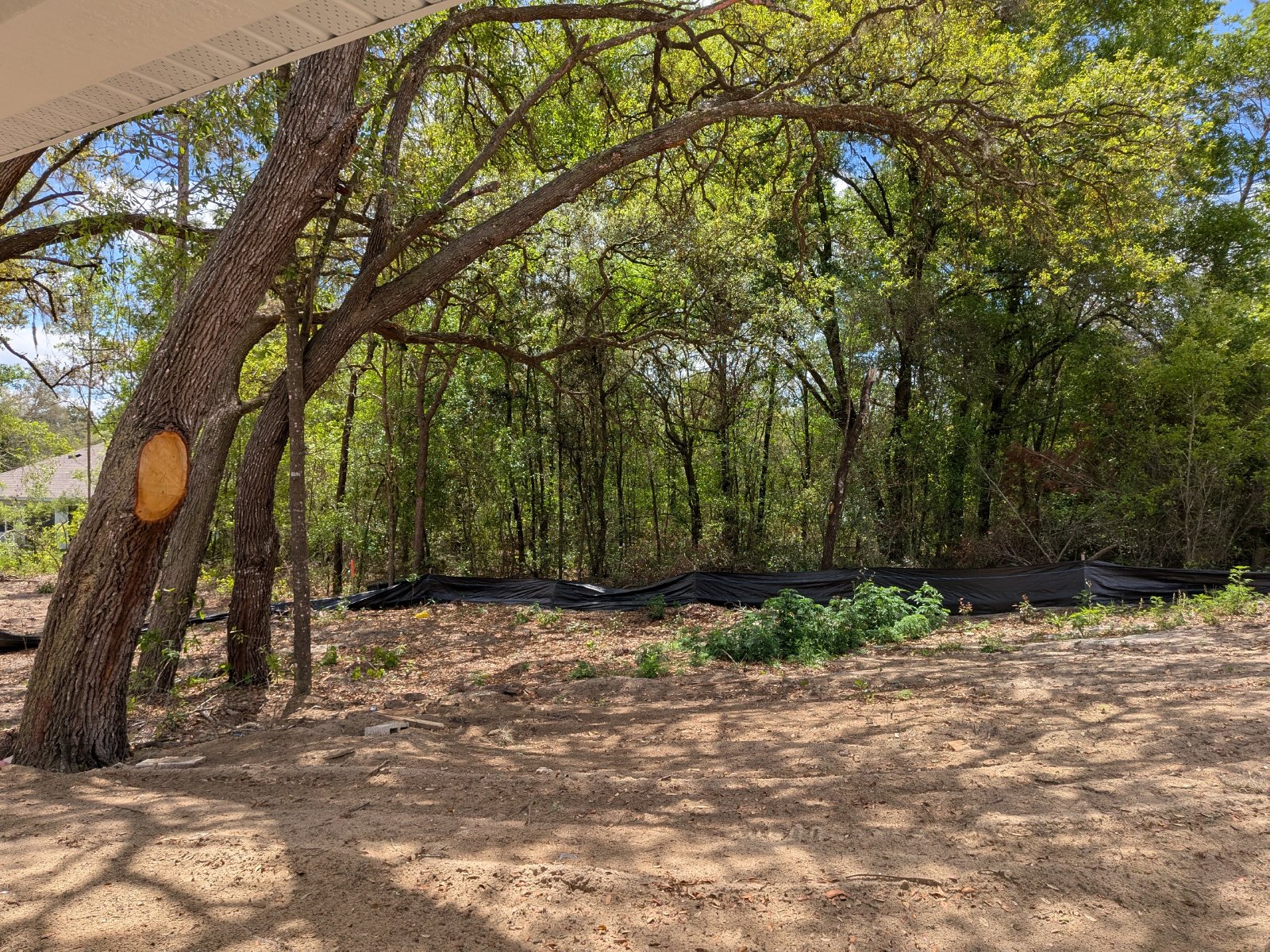 1640 W Saint Elizabeth Pl Citrus Springs FL 34434 property image